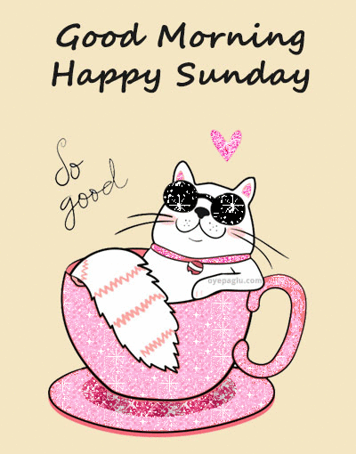 Animated image of a cat with Good Morning Happy Sunday message